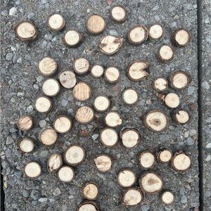 BacWoods Wood Cookies; 200 for 18$